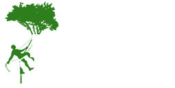 Tree Surgery Brent Cross from Majestic Tree Care Ltd Logo